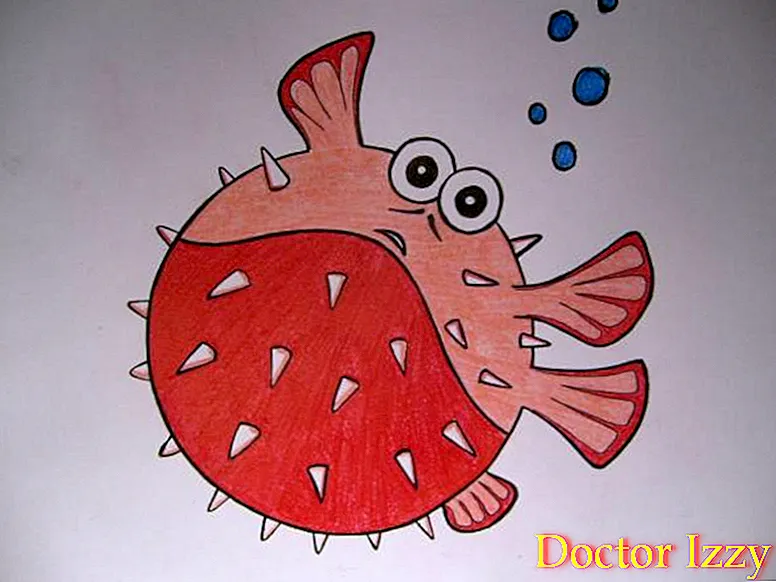 كيفية رسم سمكة البخاخ
